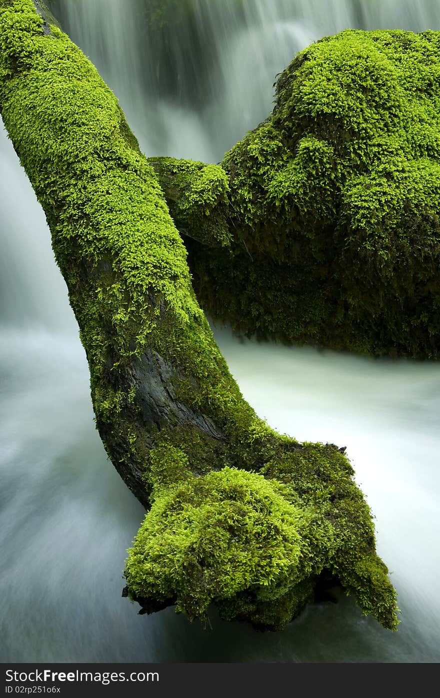 Detail of the waterfalls in the forest. Detail of the waterfalls in the forest.