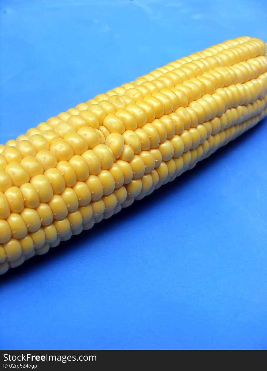 Corn on blue background - close up. Corn on blue background - close up