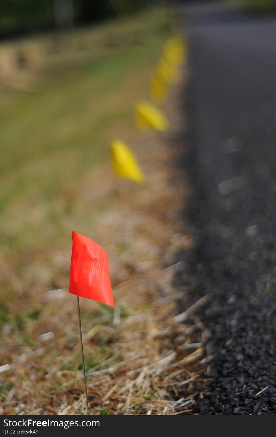 A bunch of racing flags stuck in the ground