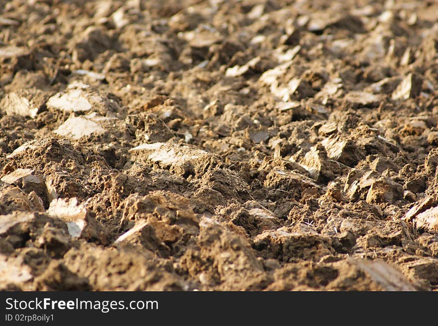 Ploughed field