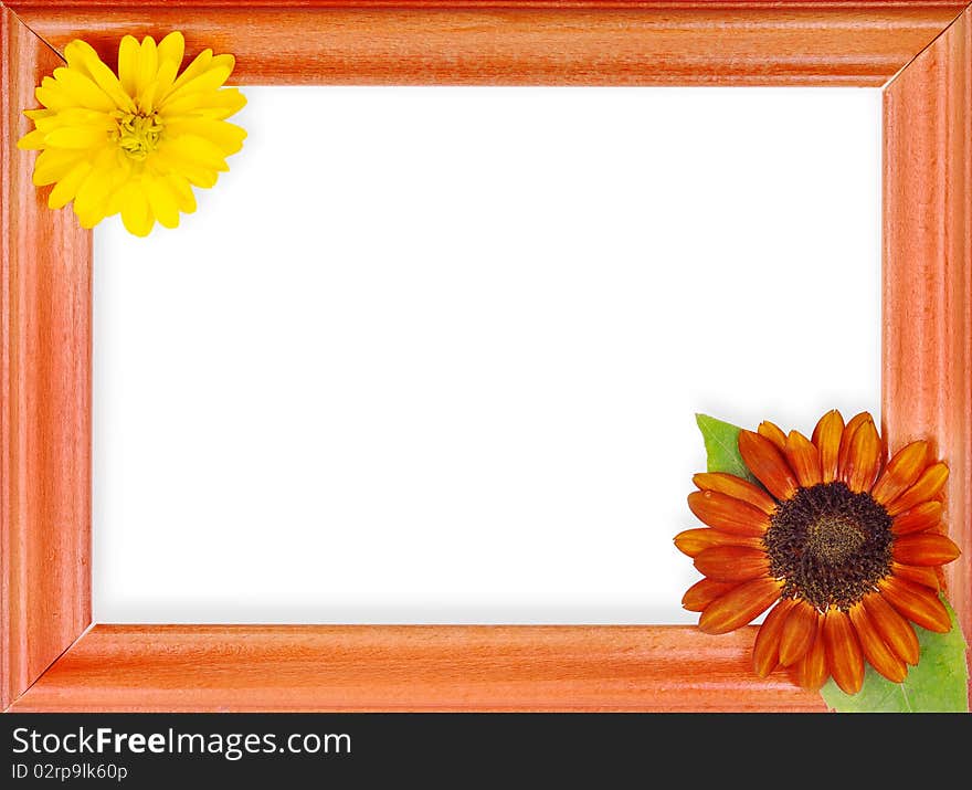 Frame with 2 flowers isolated on a white background