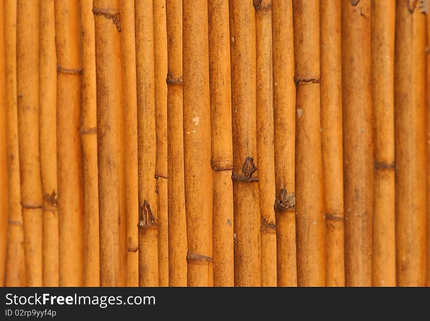 Old dead reads close up creating vertical pattern, selective focus. Old dead reads close up creating vertical pattern, selective focus