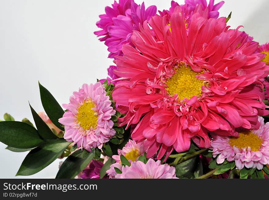 Bouquet Of Pink Flowers