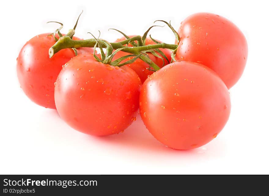 Tomatoes isolated on white background