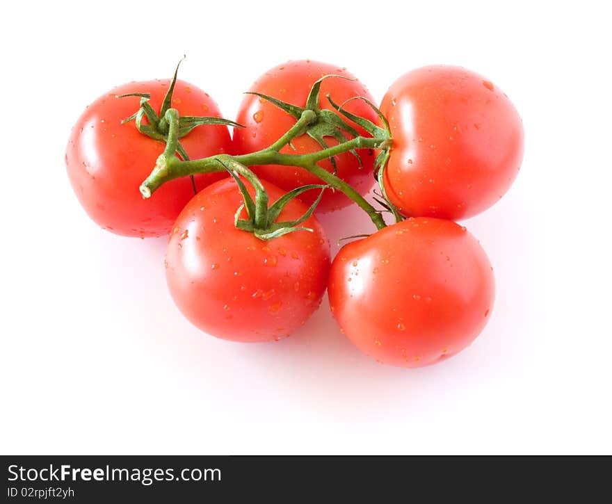 Tomatoes isolated on white background