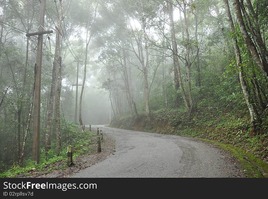 Foggy way to Doi Pui , Chiang Mai Thailand. Foggy way to Doi Pui , Chiang Mai Thailand