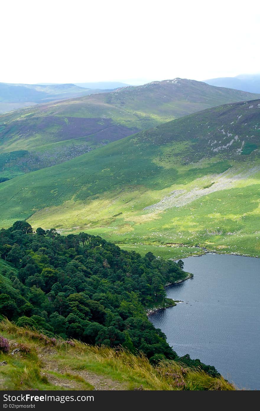 Green Fields Of Ireland