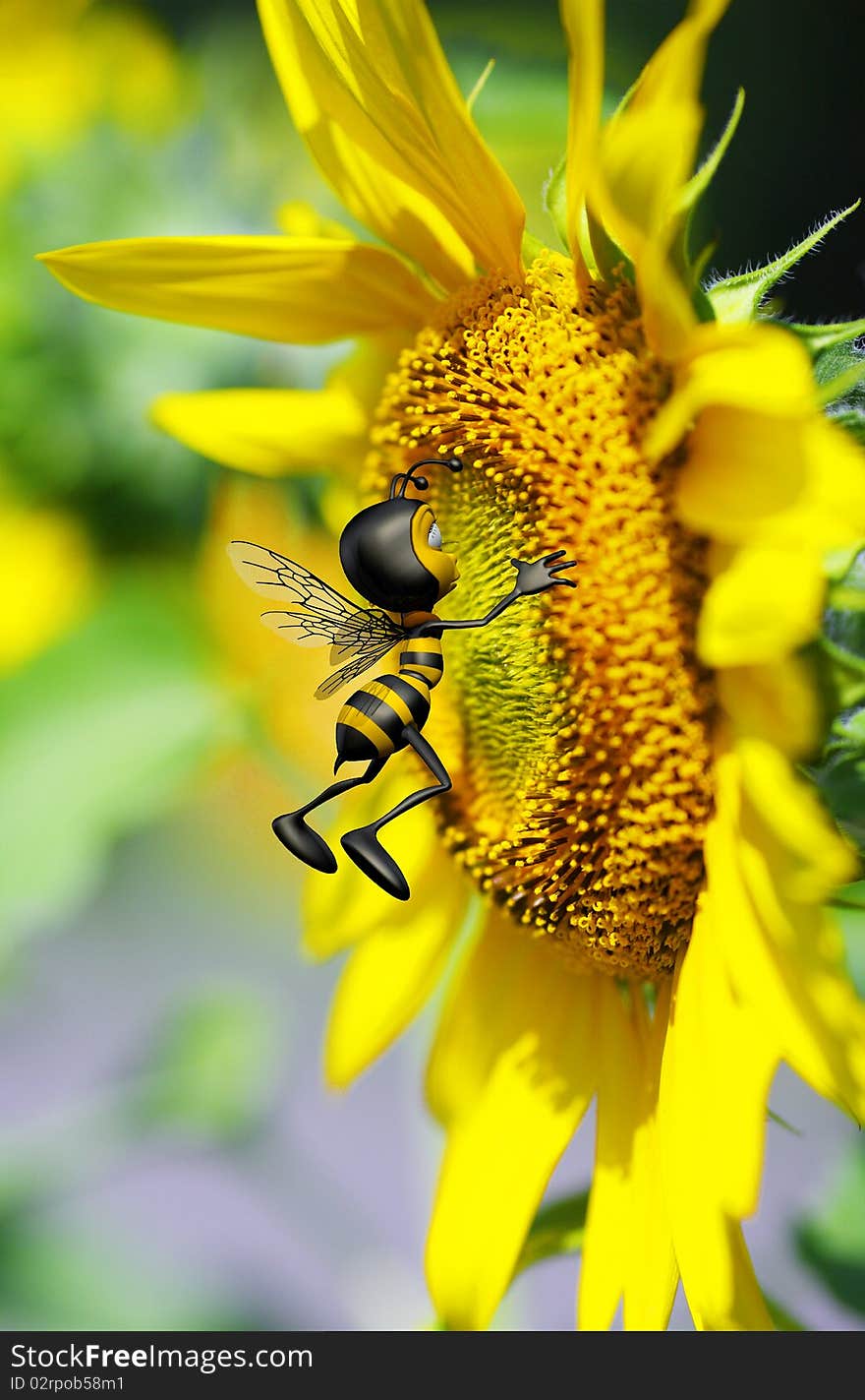 The honey bee is kissing the big yellow flower. The honey bee is kissing the big yellow flower