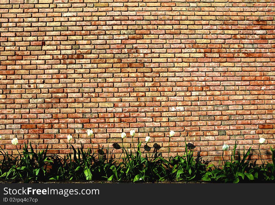 Abstract background with old brick wall.