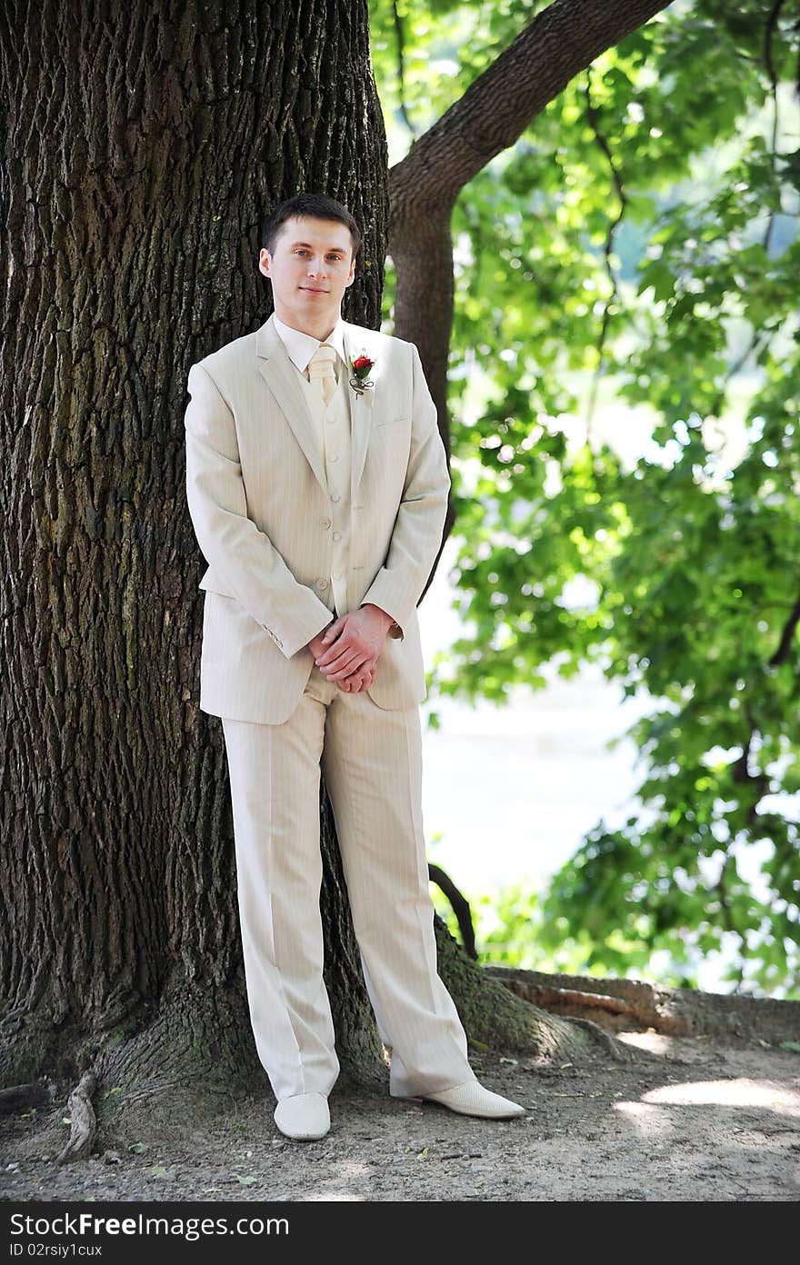 Groom and bride in white dress on background of green trees. Groom and bride in white dress on background of green trees