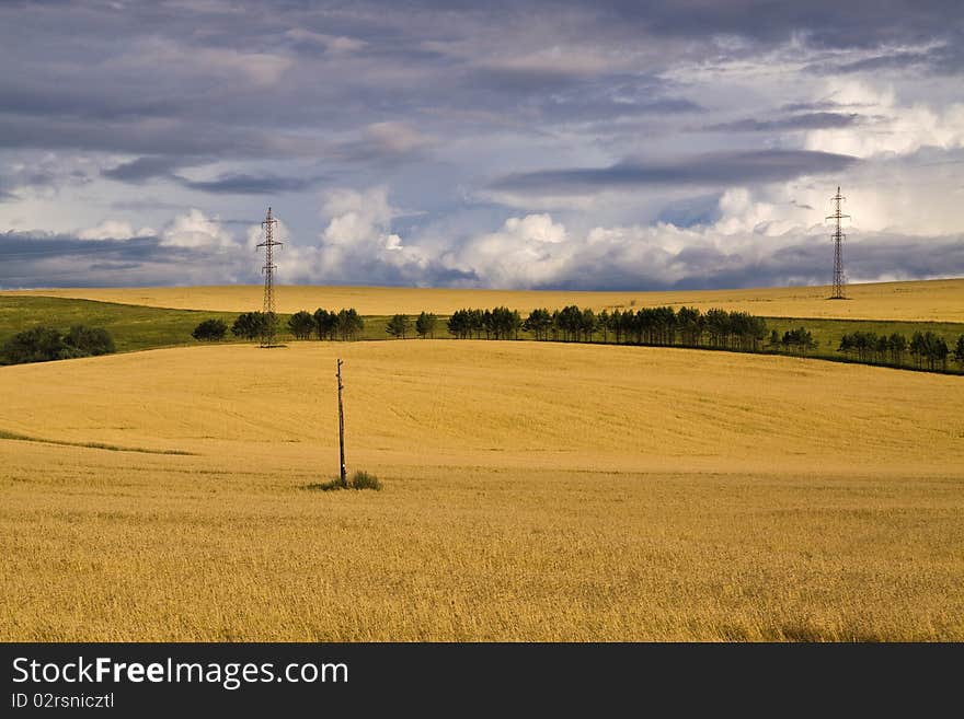 Thunder-storm Over A Field