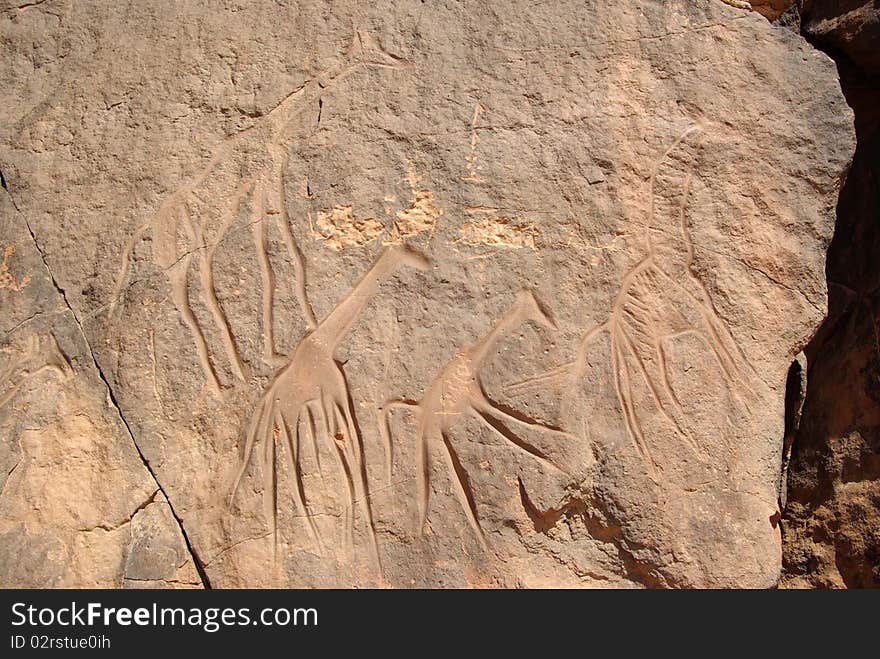 Rock engraving in the desert of Libya, in Africa. Rock engraving in the desert of Libya, in Africa