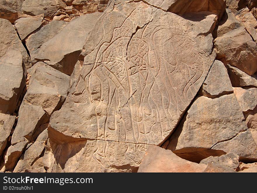 Rock engraving in the desert of Libya, in Africa. Rock engraving in the desert of Libya, in Africa