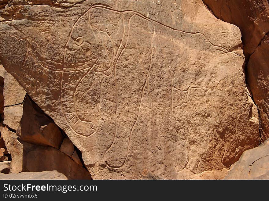 Rock engraving in the desert of Libya, in Africa. Rock engraving in the desert of Libya, in Africa