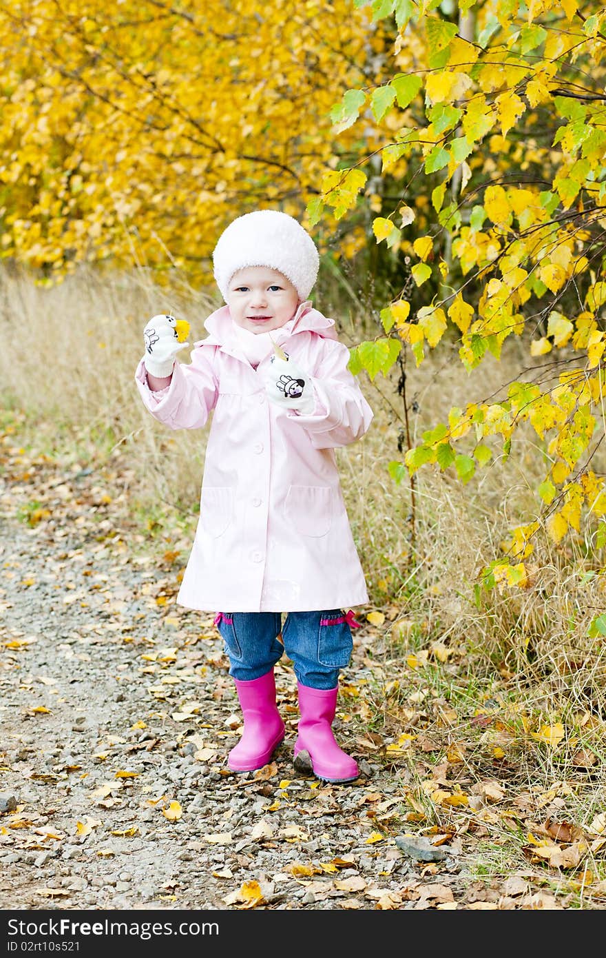 Little girl in autumnal nature. Little girl in autumnal nature