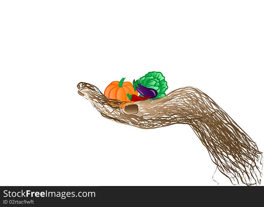 Vector Illustration Fresh Vegetables