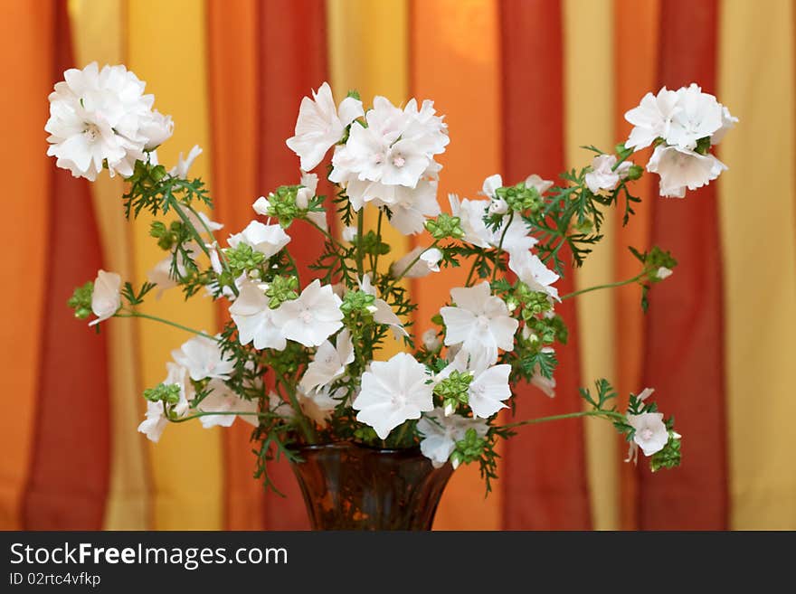 Coloured flowers