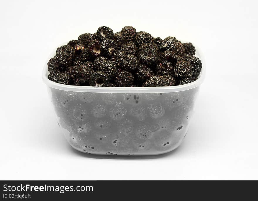 Black raspberry