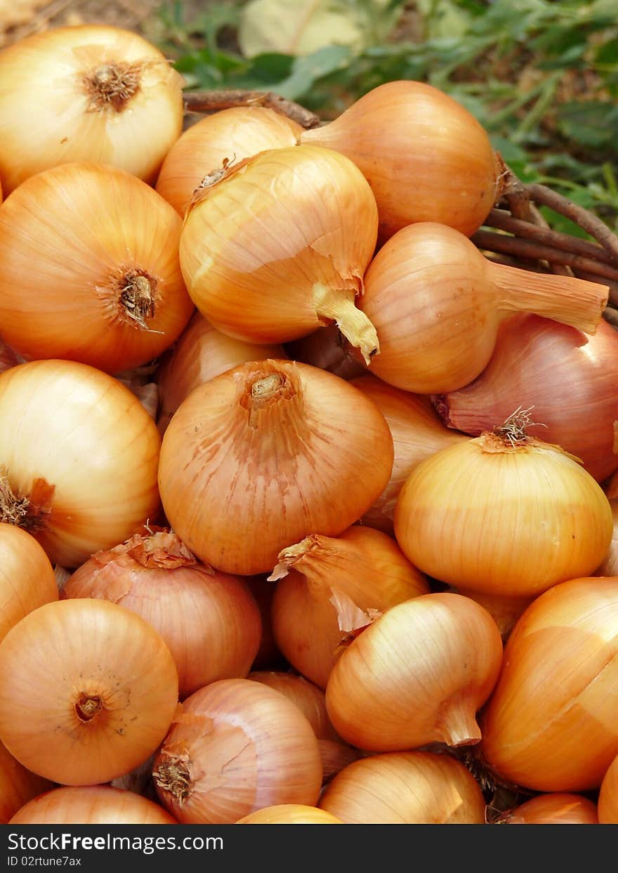 A basket of onions.