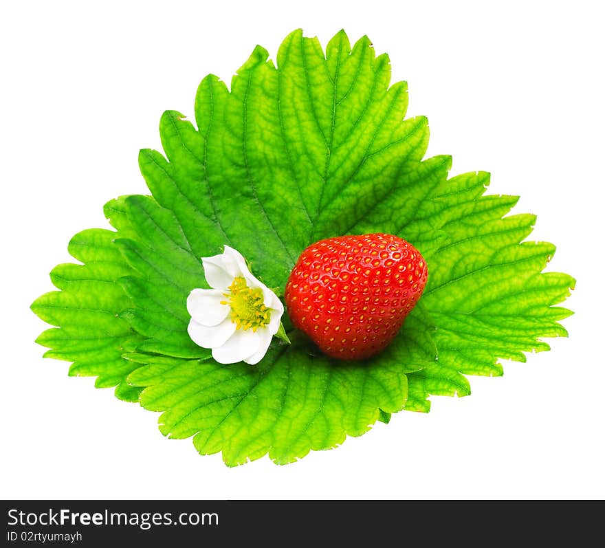 Ripe strawberry isolated on a white background