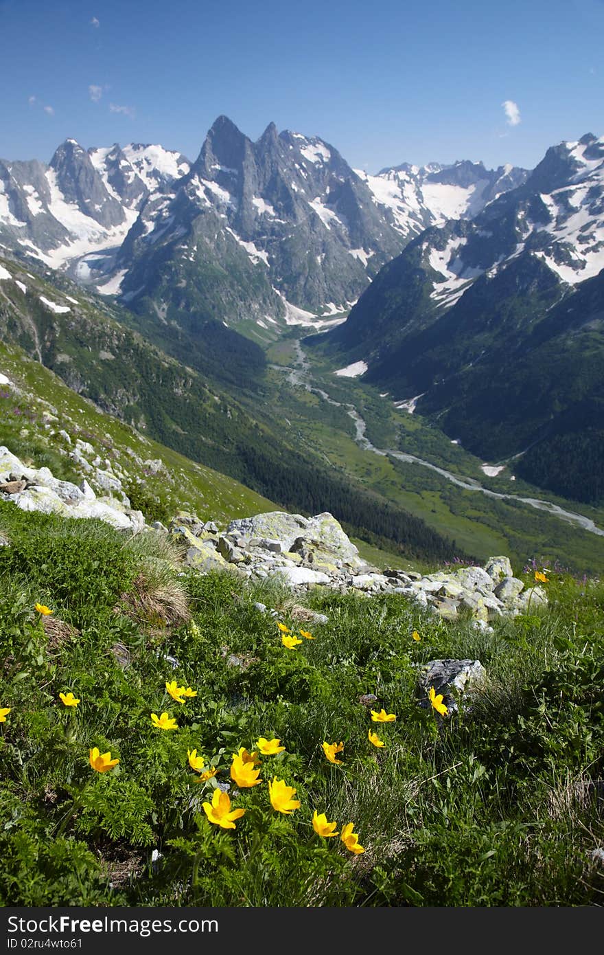 Yellow flower and a valley with raiver. Yellow flower and a valley with raiver