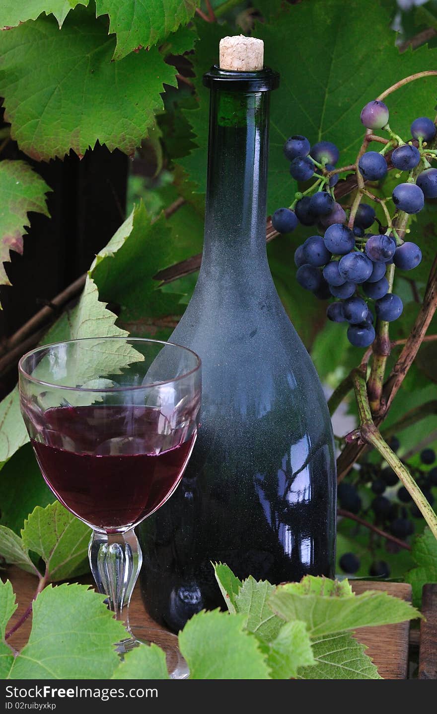 Wine against a background of grapes. Wine against a background of grapes