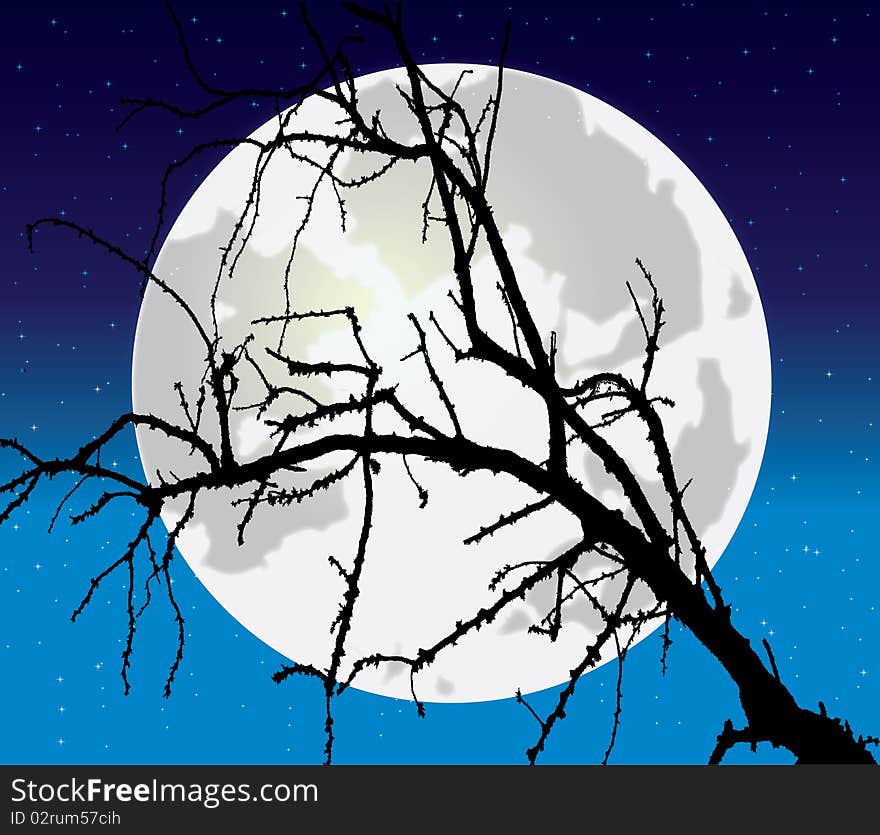 Night tree against the full moon