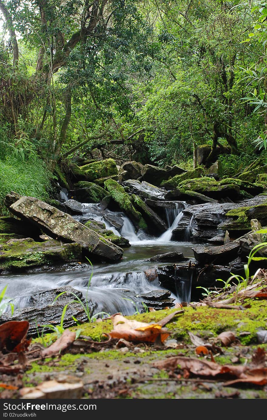 A river flowing through a peaceful scenery