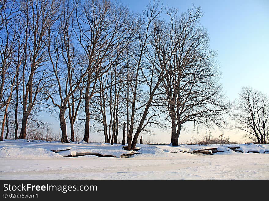 Winter wood