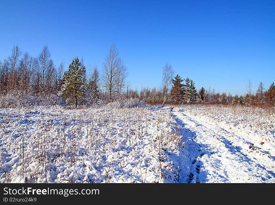 Winter snow on field near wood