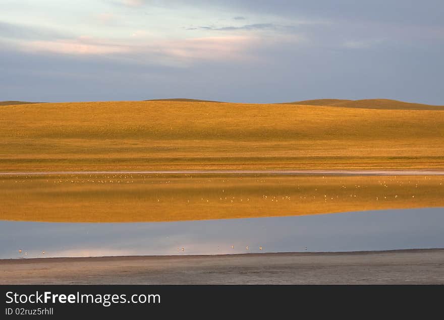 Lake In Early Morning