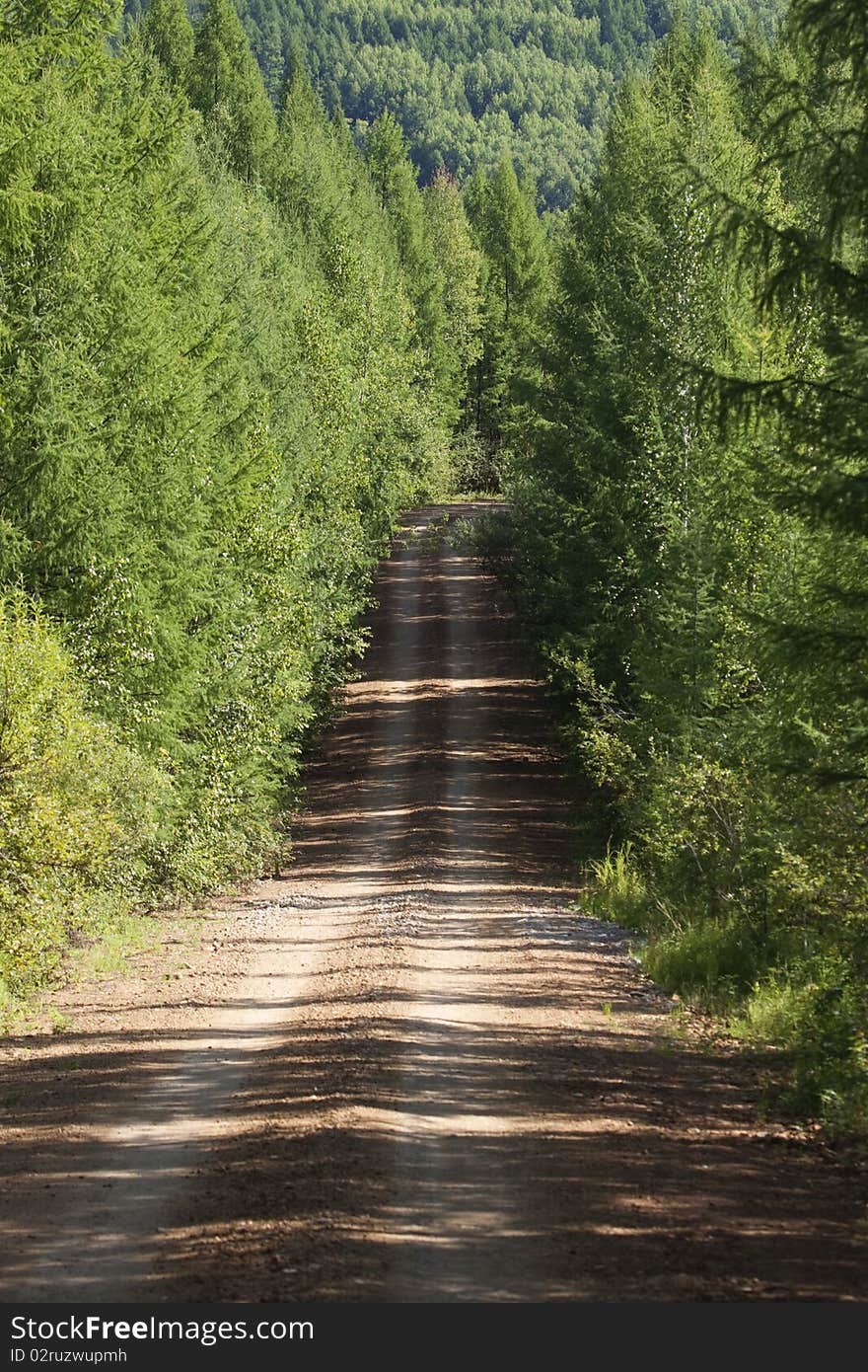 Ascending Dirt Road