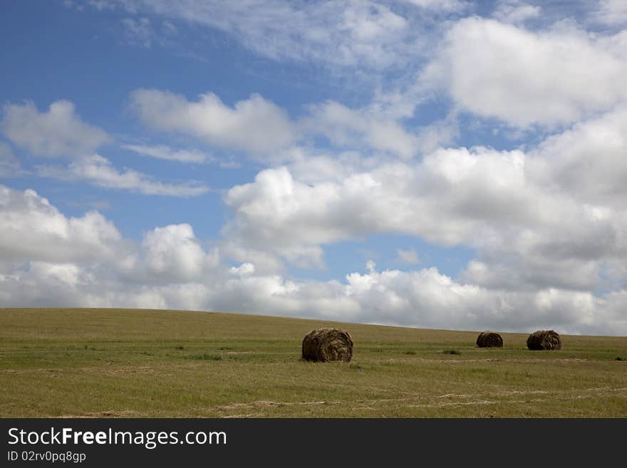 Hay bundle