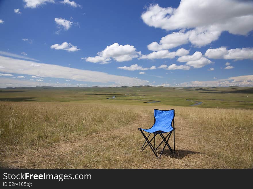 Little blue chair in wilderness