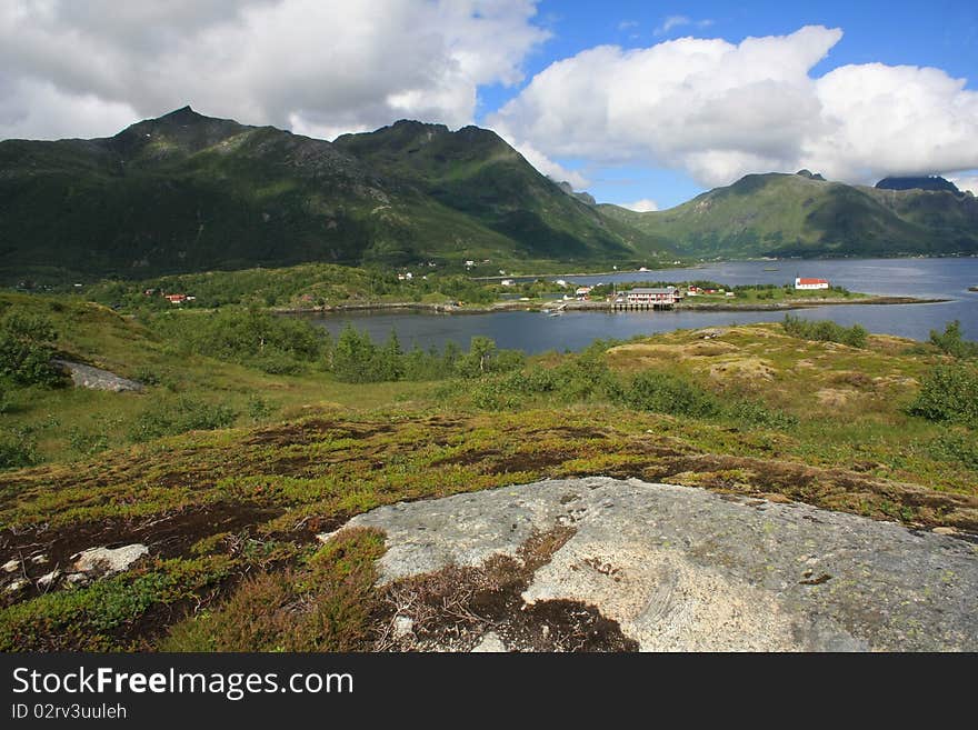 Grass and rock on Norway