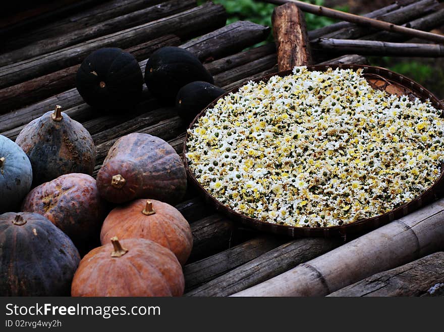 Dried daisy is always use as tea in China