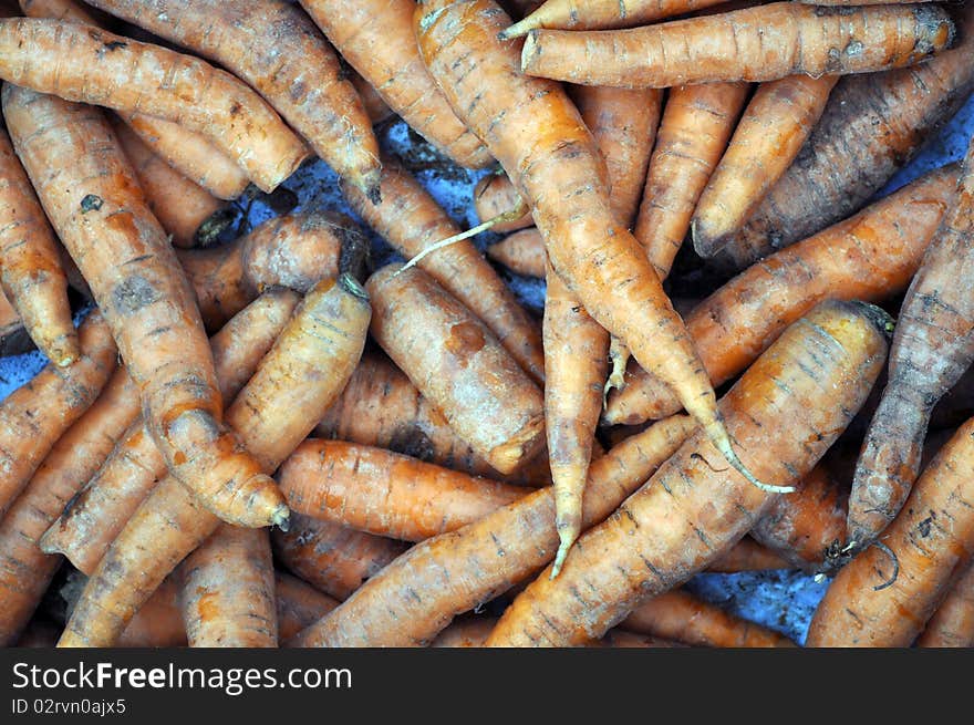 Young dirty unwashed unpeeled carrots. A lot of carrots. Stacked in a pile. Young dirty unwashed unpeeled carrots. A lot of carrots. Stacked in a pile