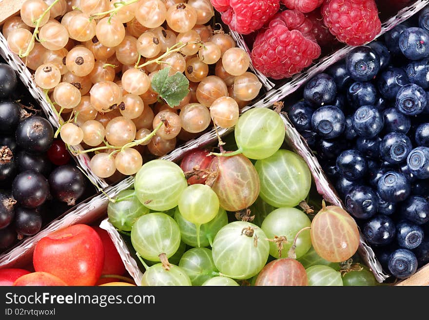 Different colourful berries in the box. Different colourful berries in the box