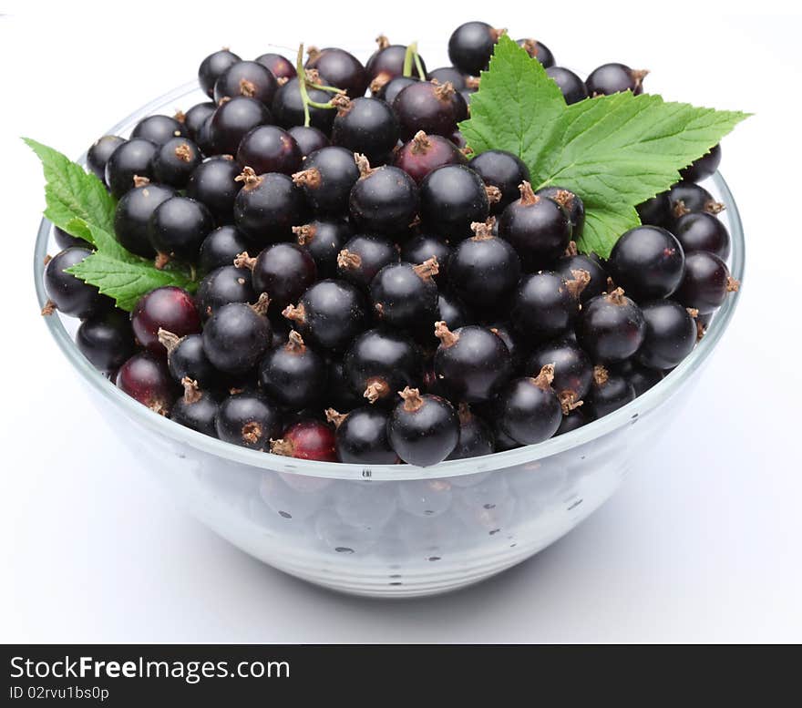 Crockery with black currant. Isolated on a white background.