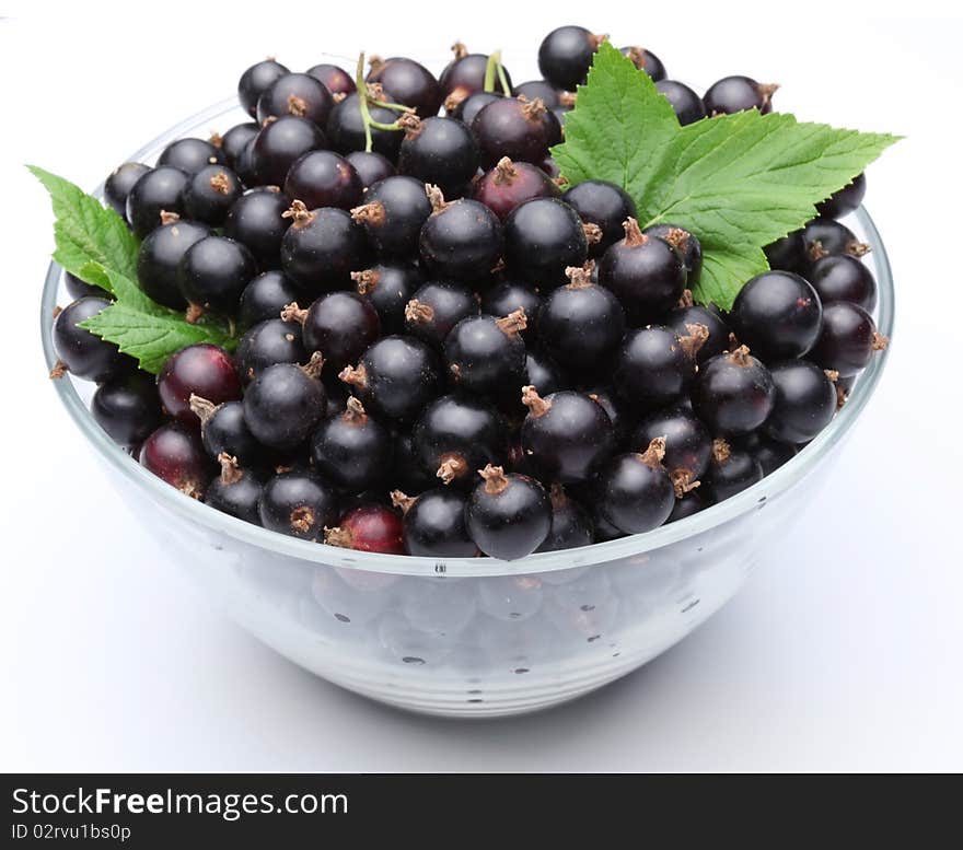 Crockery with black currant.