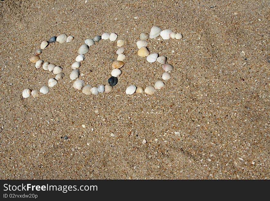 The distress signal combined from sea cockleshells on sandy coast. The distress signal combined from sea cockleshells on sandy coast