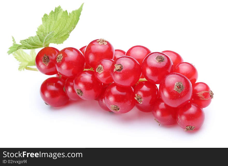 Bunch of red currants