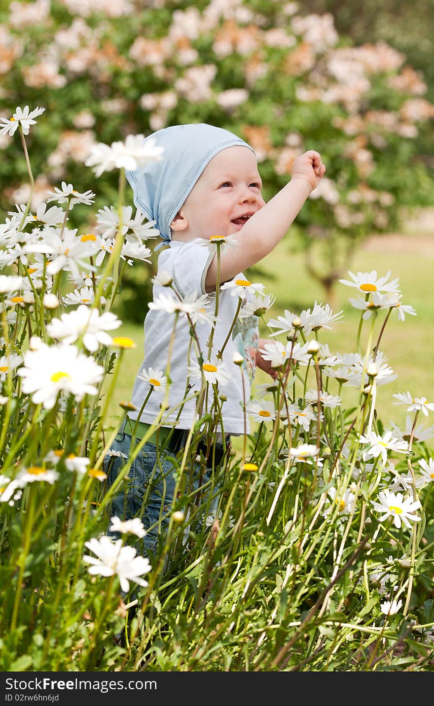 Smiling happy boy on the meadow. Smiling happy boy on the meadow