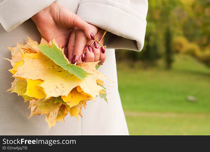 Woman hands holding autumn tree leaves