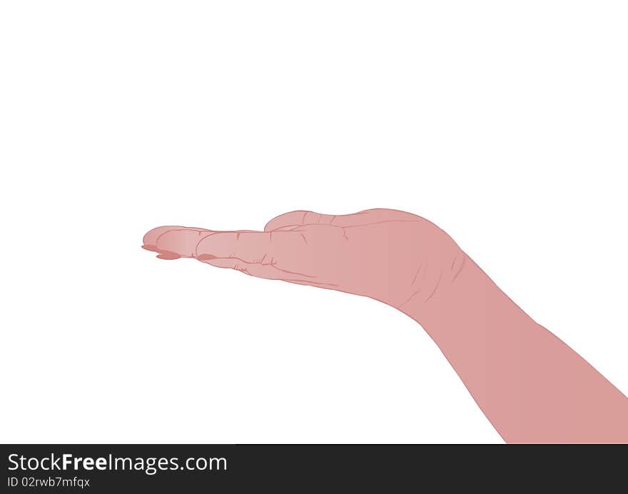 Vector illustration a female hand on a white background. Vector illustration a female hand on a white background