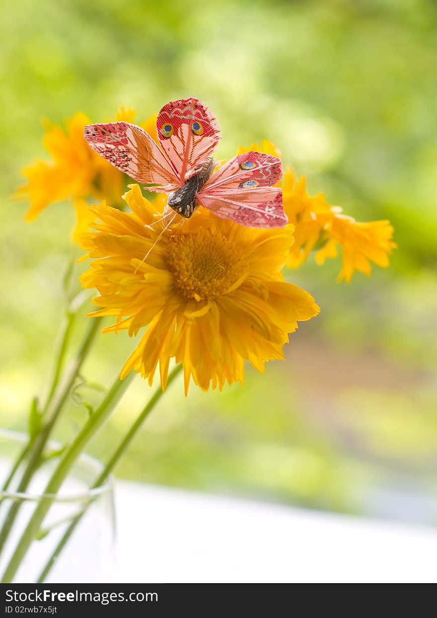 Butterfly sitting on orange flowers. Butterfly sitting on orange flowers