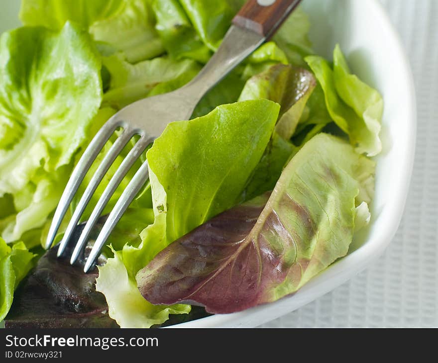 Bowl of lettuce