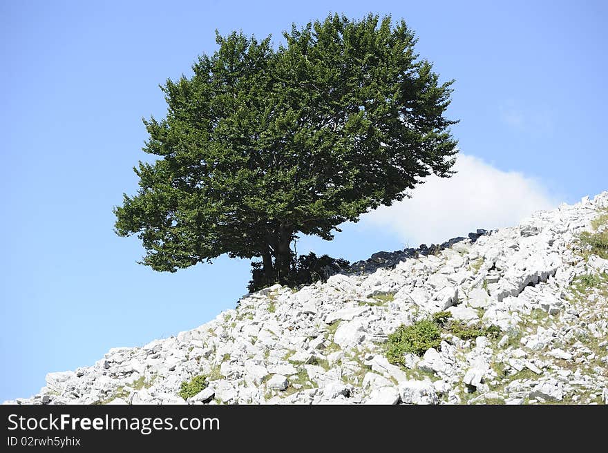 This beech touch the sky. This beech touch the sky