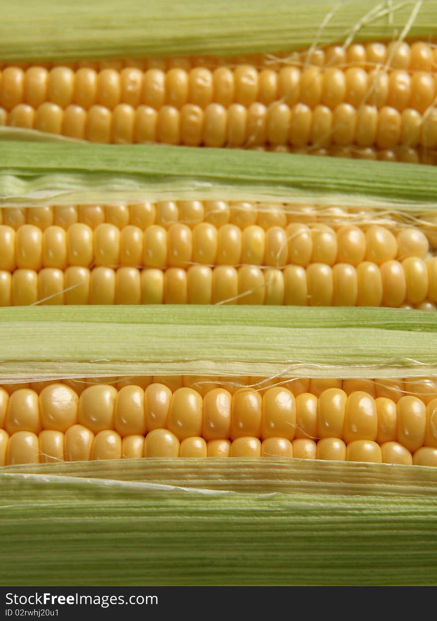 Close to the tube and leaves from corn. Close to the tube and leaves from corn.