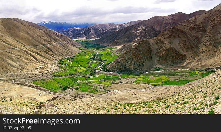 Oasis Among The Hill